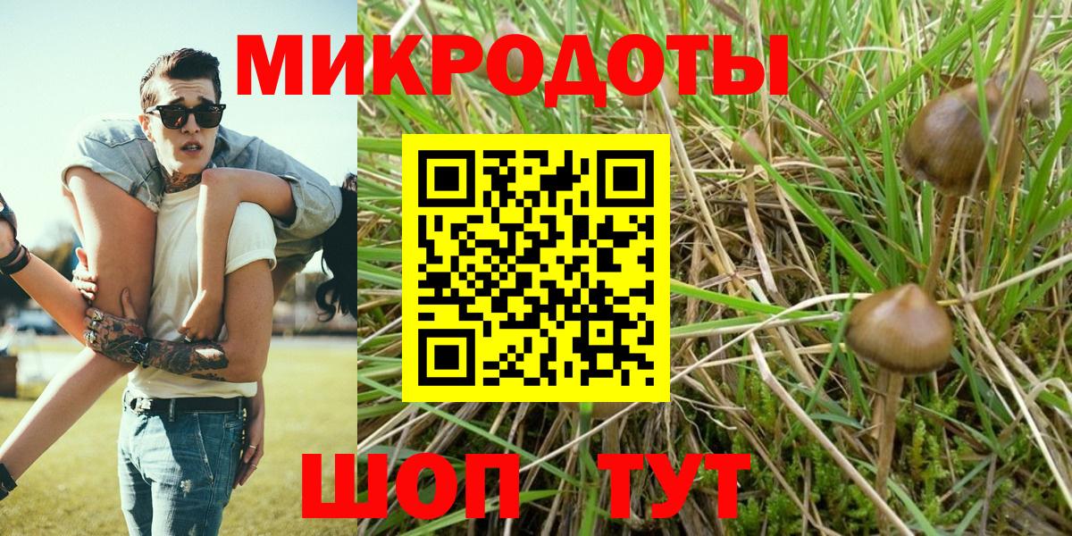 Галлюциногенные грибы мицелий  Вход с VPN  Партизанск  Галлюциногенные грибы мухоморы 