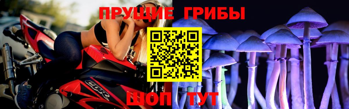Галлюциногенные грибы Psilocybine cubensis Партизанск
